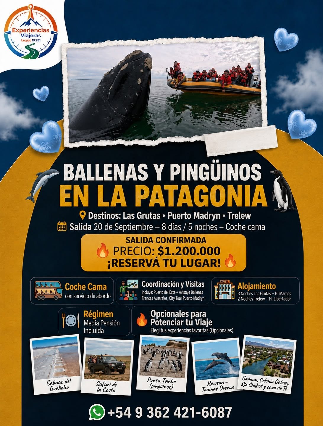 Oferta Patagonia Ballenas